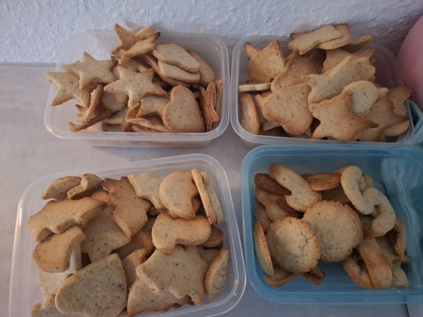 Mehrere Dosen mit frisch gebackenen Plätzchen